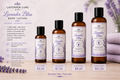 Lavender Bliss Body Lotion in 2oz, 4oz, 6oz and 8oz sizes